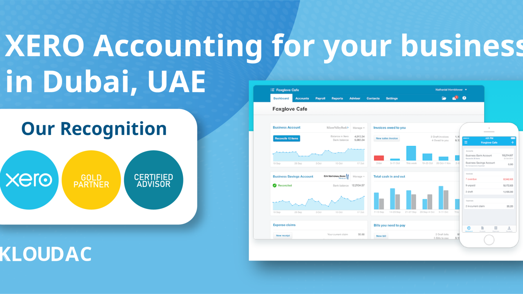 XERO Accounting Software Dubai