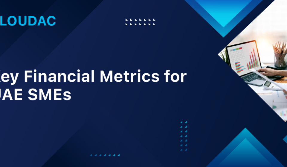 Key Financial Metrics for UAE SMEs